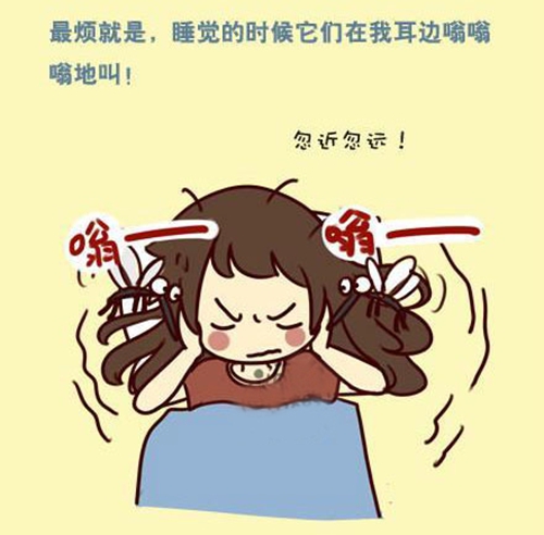 蚊子醒了！快走進(jìn)紗窗世界，遠(yuǎn)離蚊蟲so easy！