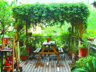 【生活攻略】陽臺還可以種菜！