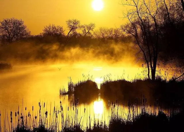 白露：八月節(jié)。白露：八月節(jié)。