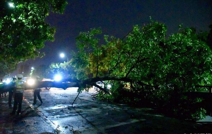 臺(tái)風(fēng)“莎莉嘉”“海馬”組隊(duì)直奔廣東，你家做好防御了嗎？