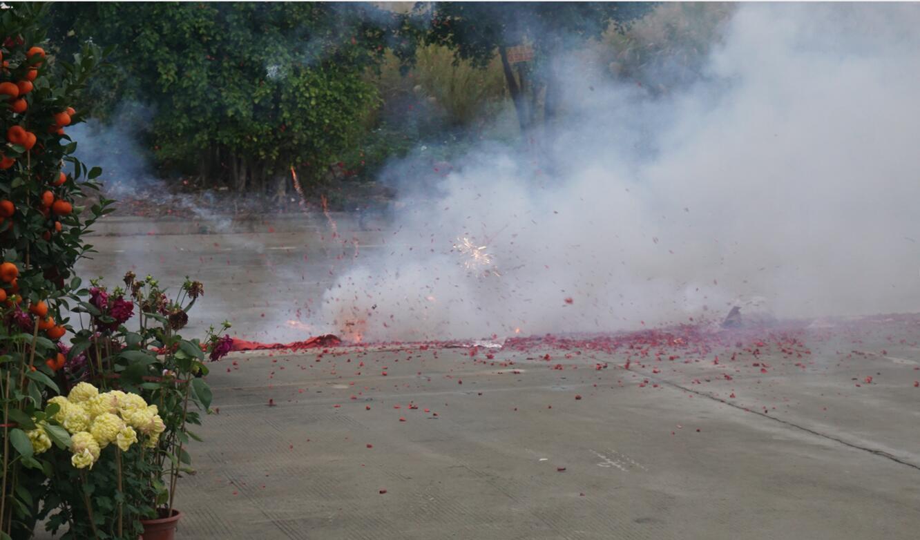 QQ截圖20170208102454