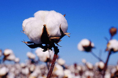 真正的家居“國潮”，流行千年依然美！